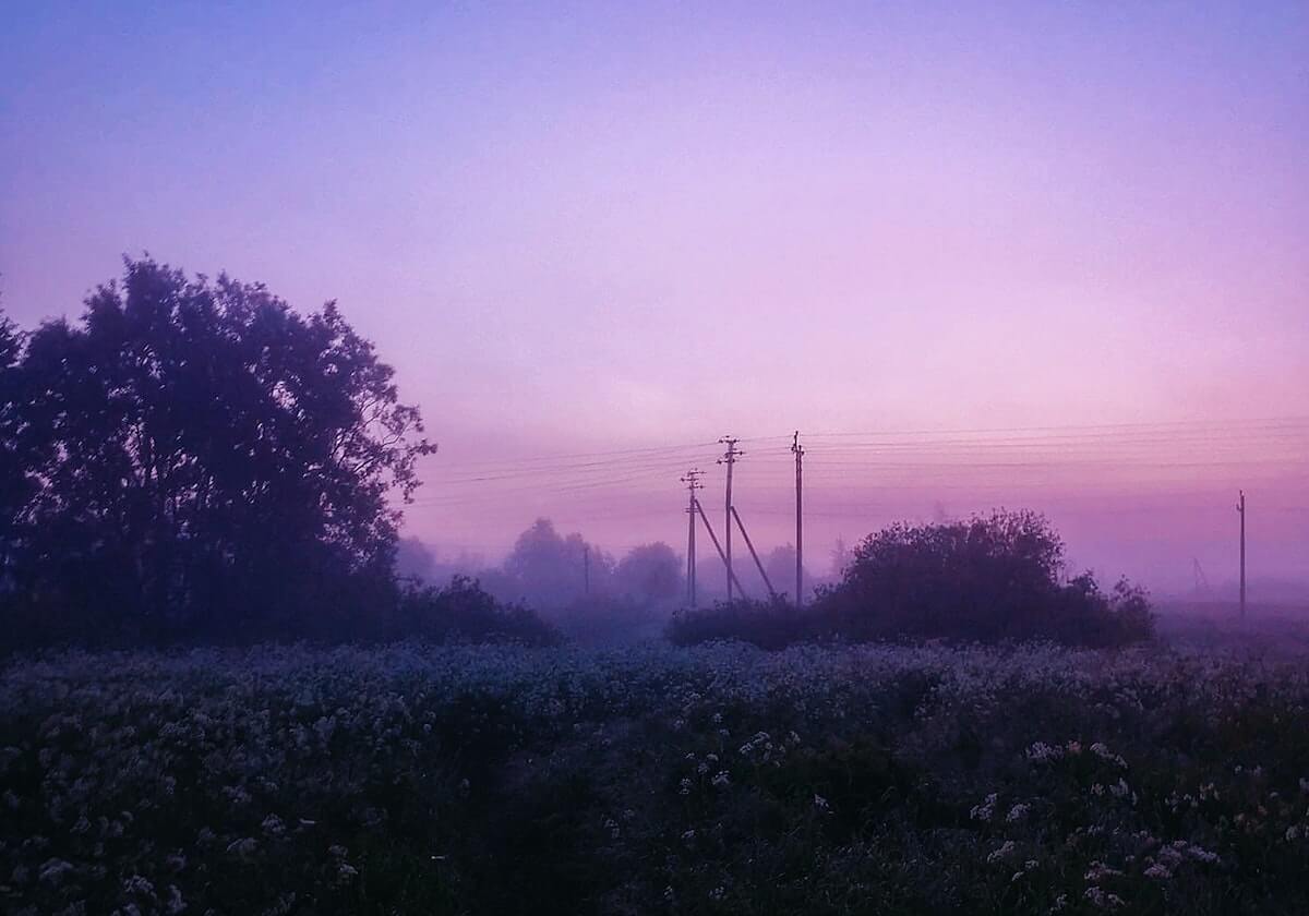 别再问“黑料每日最新”入口在哪了:你更该问怎么避开信息污染