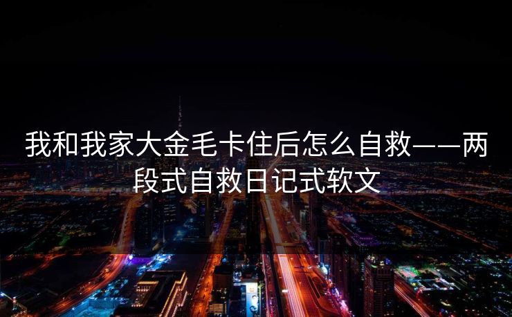 我和我家大金毛卡住后怎么自救——两段式自救日记式软文 我和我家大金毛卡住后怎么自救——两段式自救日记式软文