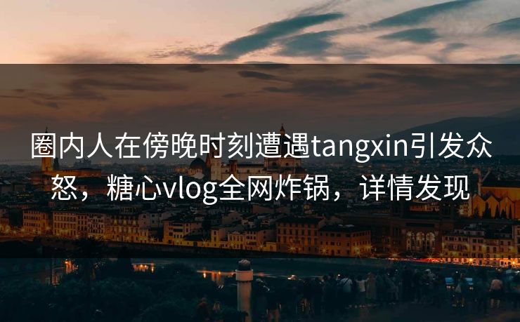 圈内人在傍晚时刻遭遇tangxin引发众怒，糖心vlog全网炸锅，详情发现