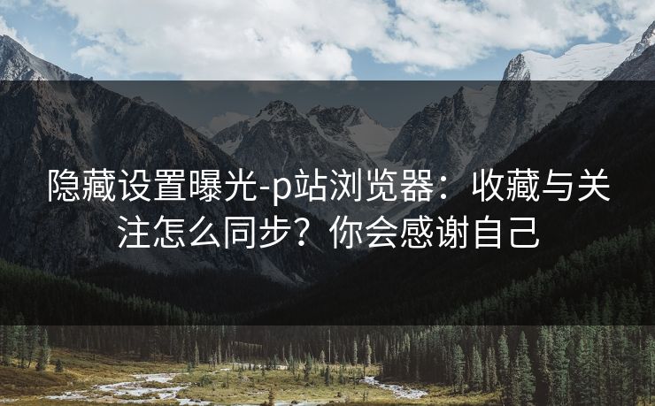 隐藏设置曝光-p站浏览器：收藏与关注怎么同步？你会感谢自己